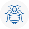 Bed Bug Extermination In Banstead