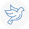 Bird Prevention Banstead