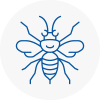 Banstead Hornet Nest Removals