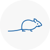 Mice Exterminators In Banstead