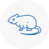 Rat Control Banstead