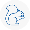 Banstead Rodent Removals