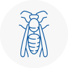 Banstead Wasp Nest Removal